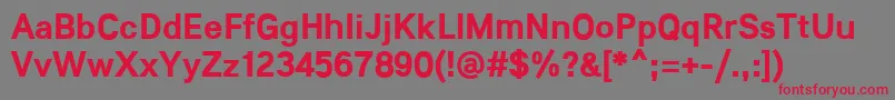 フォントLunchtype21Bold – 赤い文字の灰色の背景