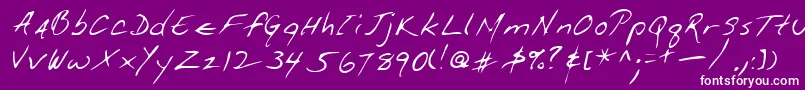 Lehn114 Font – White Fonts on Purple Background