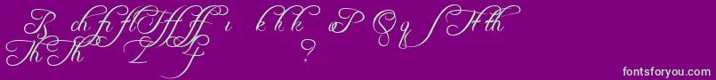 FreebooterScriptAlts Font – Green Fonts on Purple Background