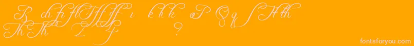 FreebooterScriptAlts Font – Pink Fonts on Orange Background