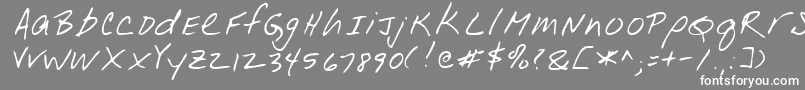 Czcionka LeonardRegular – białe czcionki na szarym tle
