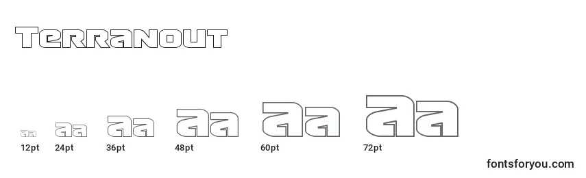 Размеры шрифта Terranout