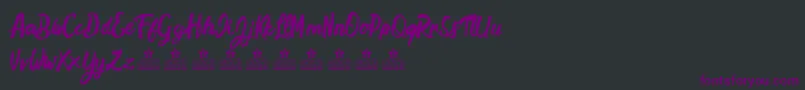 HamstersPersonalUse Font – Purple Fonts on Black Background