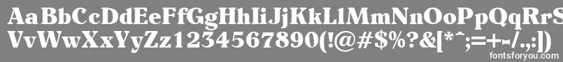 フォントEider – 灰色の背景に白い文字