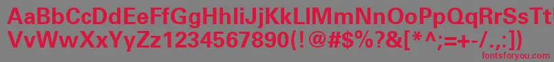 UniversLt65Bold Font – Red Fonts on Gray Background