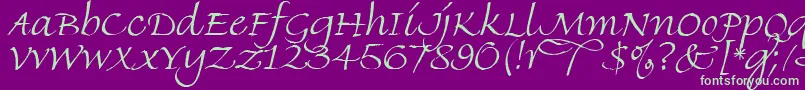 FineHandLetPlain.1.0 Font – Green Fonts on Purple Background