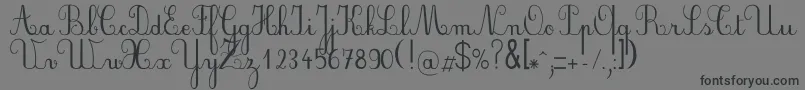 Weitere Informationen zur Plumbde-Schriftart Plumbde-Schriftart – Schwarze Schriften auf grauem Hintergrund