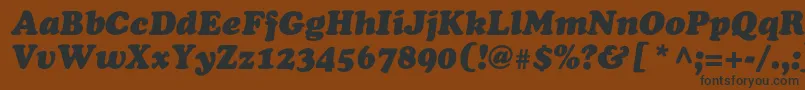 OsvaldblackcItalic Font – Black Fonts on Brown Background