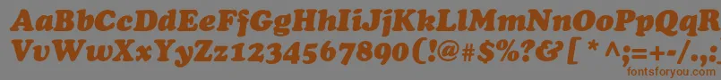 OsvaldblackcItalic Font – Brown Fonts on Gray Background