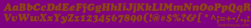 OsvaldblackcItalic Font – Brown Fonts on Purple Background