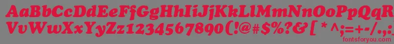 OsvaldblackcItalic Font – Red Fonts on Gray Background