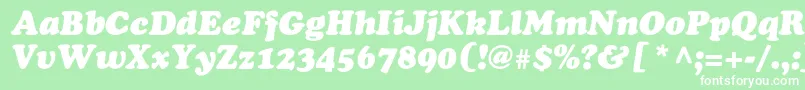 Шрифт OsvaldblackcItalic – белые шрифты на зелёном фоне