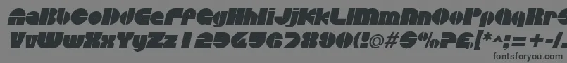 フォントDiscothequeItalic – 黒い文字の灰色の背景