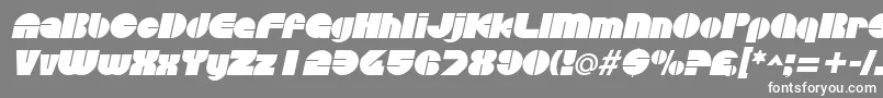 フォントDiscothequeItalic – 灰色の背景に白い文字