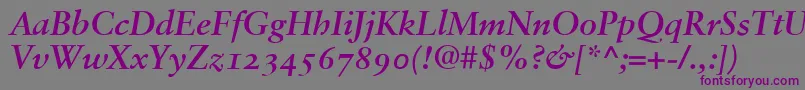 SabonBoldItalicOldstyleFigures Font – Purple Fonts on Gray Background