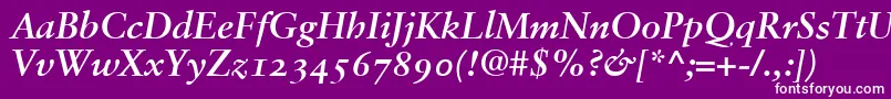 SabonBoldItalicOldstyleFigures Font – White Fonts on Purple Background