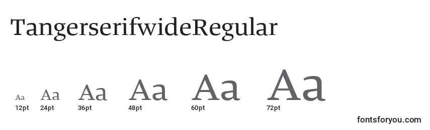 Размеры шрифта TangerserifwideRegular