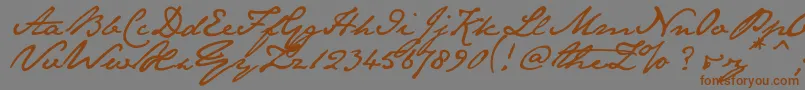 Janeaust Font – Brown Fonts on Gray Background
