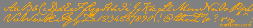 Janeaust Font – Orange Fonts on Gray Background