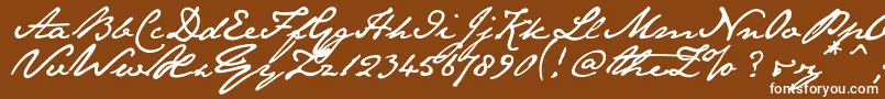 Janeaust Font – White Fonts on Brown Background