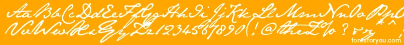 Janeaust-Schriftart – Weiße Schriften auf orangefarbenem Hintergrund