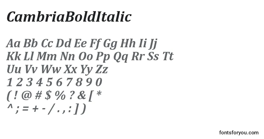 Czcionka CambriaBoldItalic – alfabet, cyfry, specjalne znaki