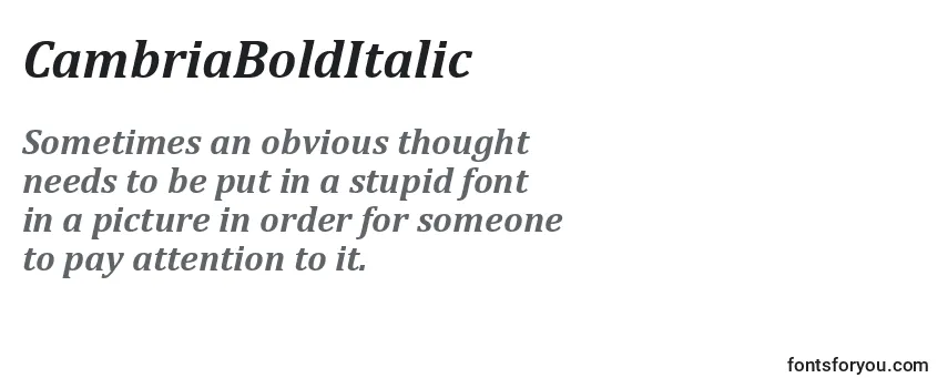 CambriaBoldItalic Font