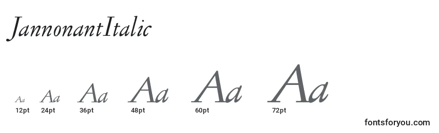 JannonantItalic Font Sizes