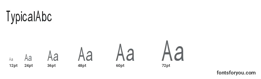 Размеры шрифта TypicalAbc