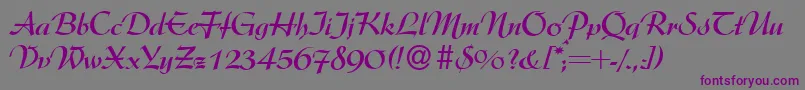 ArgentineBold-fontti – violetit fontit harmaalla taustalla