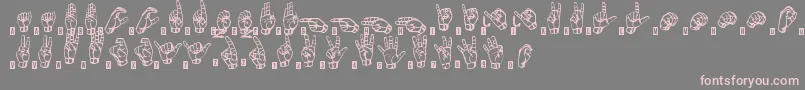 SignsLanguageTfb-Schriftart – Rosa Schriften auf grauem Hintergrund