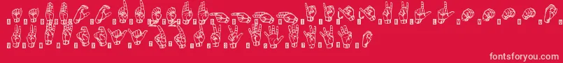 SignsLanguageTfb Font – Pink Fonts on Red Background