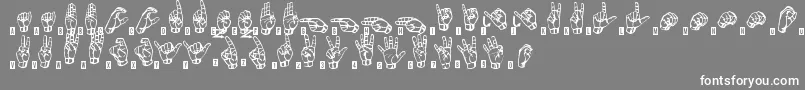 SignsLanguageTfb Font – White Fonts on Gray Background