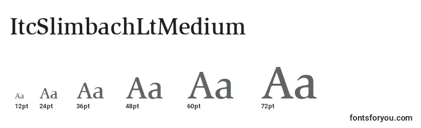 Размеры шрифта ItcSlimbachLtMedium