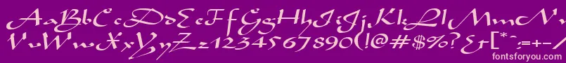 AladdinexpandedRegular Font – Pink Fonts on Purple Background