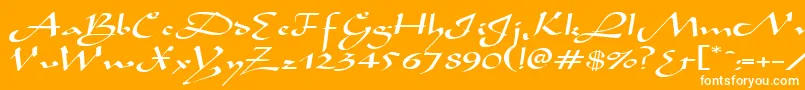 AladdinexpandedRegular-Schriftart – Weiße Schriften auf orangefarbenem Hintergrund