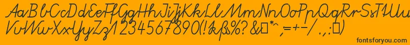 GruenewaldVaNormal Font – Black Fonts on Orange Background