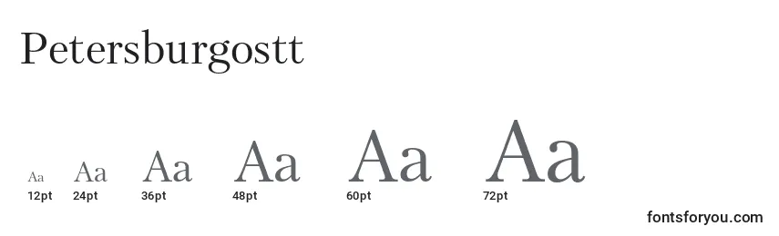 Размеры шрифта Petersburgostt