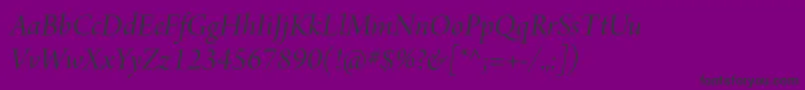 ArnoproItalicdisplay Font – Black Fonts on Purple Background