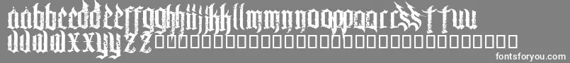 ChaosandpainCnp Font – White Fonts on Gray Background
