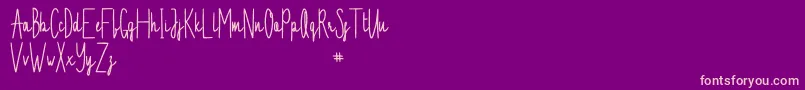 PameelaScriptDemo-Schriftart – Rosa Schriften auf violettem Hintergrund