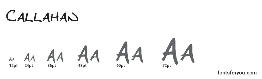 Callahan Font Sizes