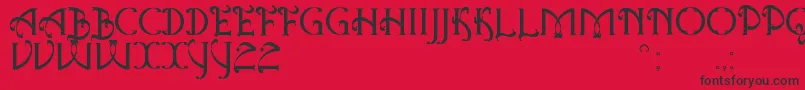 AntiqueQuestSt Font – Black Fonts on Red Background