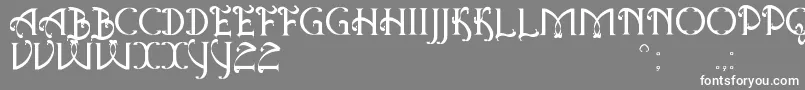 フォントAntiqueQuestSt – 灰色の背景に白い文字