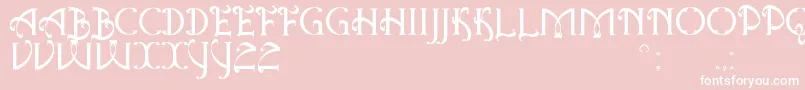 AntiqueQuestSt Font – White Fonts on Pink Background