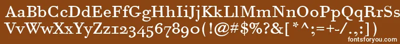 BodoniSixOsItcTtBook Font – White Fonts on Brown Background