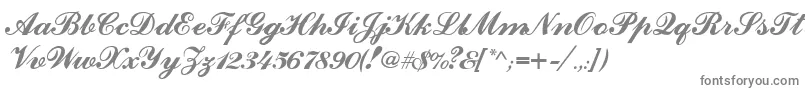 CounselorscriptMedium Font – Gray Fonts on White Background