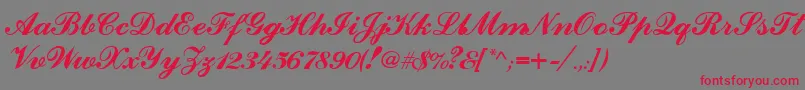 CounselorscriptMedium-Schriftart – Rote Schriften auf grauem Hintergrund