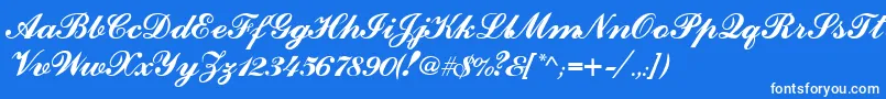 フォントCounselorscriptMedium – 青い背景に白い文字