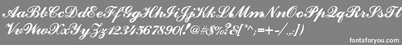 CounselorscriptMedium Font – White Fonts on Gray Background